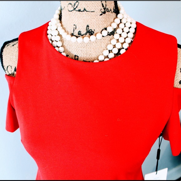 Calvin Klein NWT shift dress - Picture 4 of 4